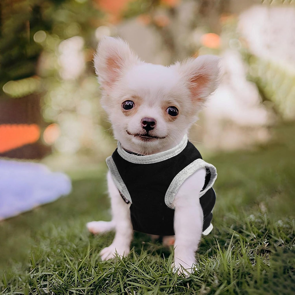 4 Pack Small Dog Shirts Cute Puppy Clothes for Chihuahua Yorkie