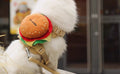 Hamburger Dog Harness and Leash Set
