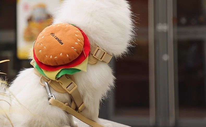 Hamburger Dog Harness and Leash Set