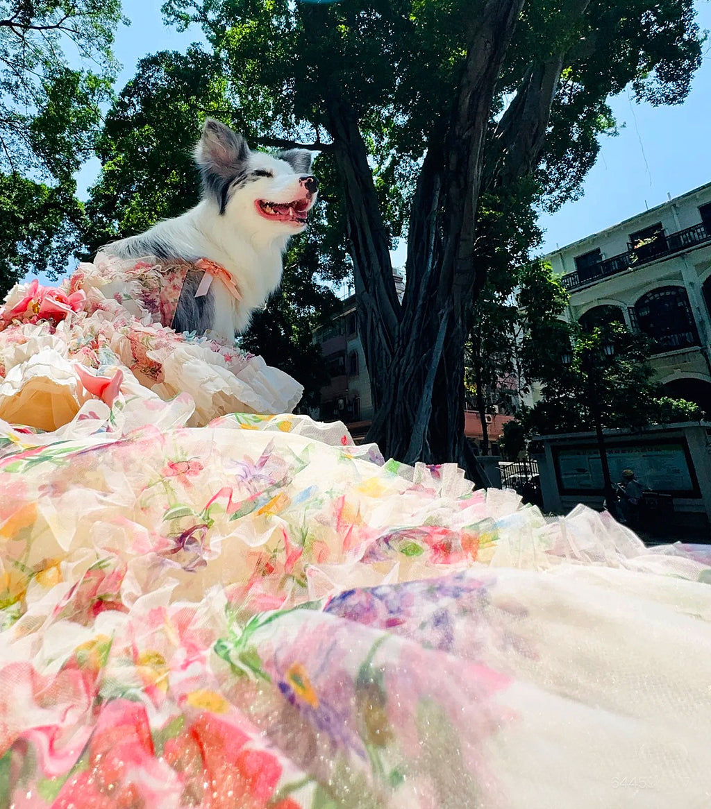 Luxury Floral Dog Dress with Ruffled Skirt & Pink Bow