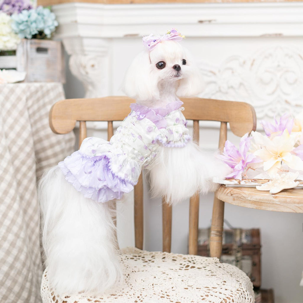 Luxury Japanese design Dog dress chiffon little bow floral
