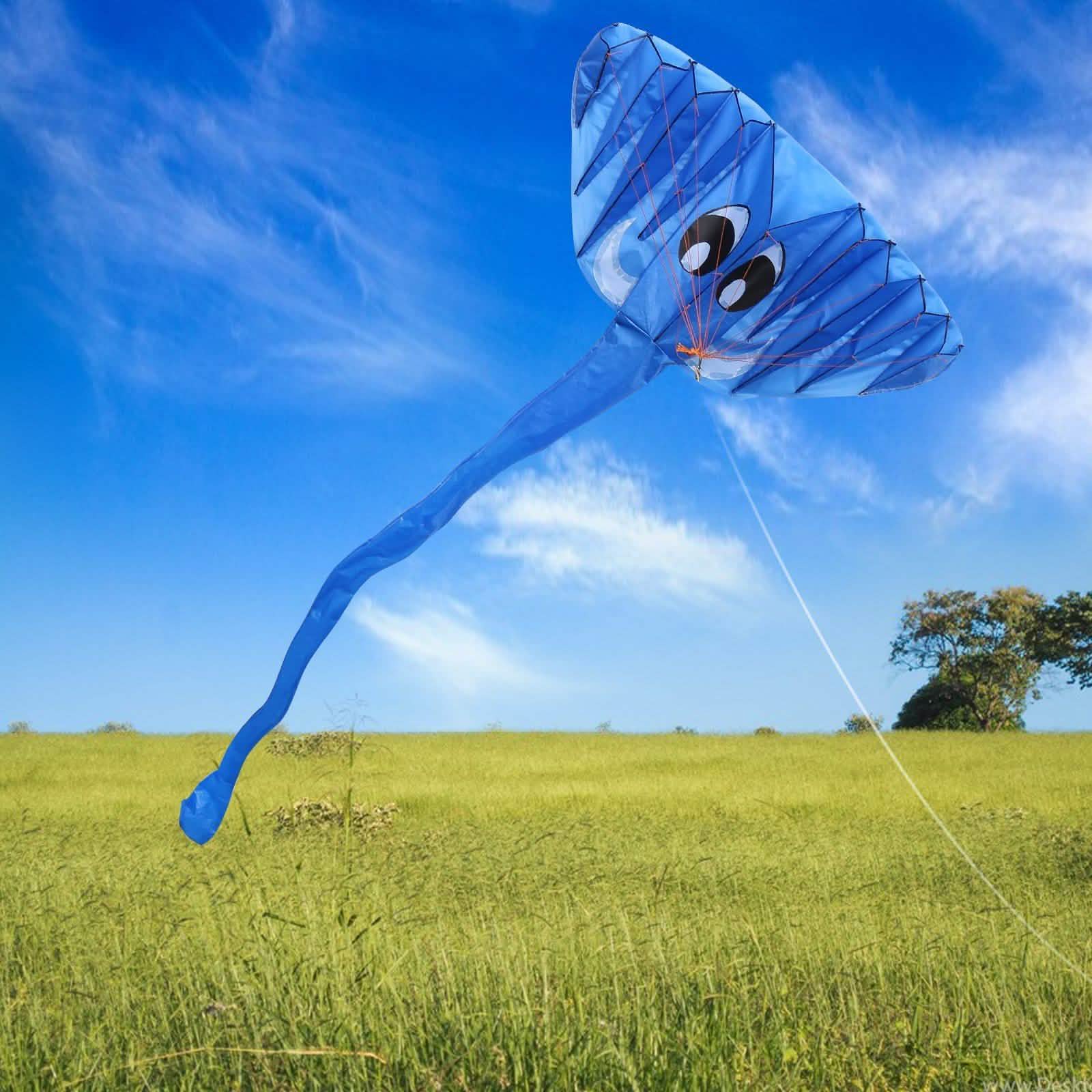 3D Kite Frameless Soft Giant and Parafoil