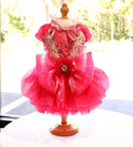 Elegant Hot Pink Lace Dog Party Dress