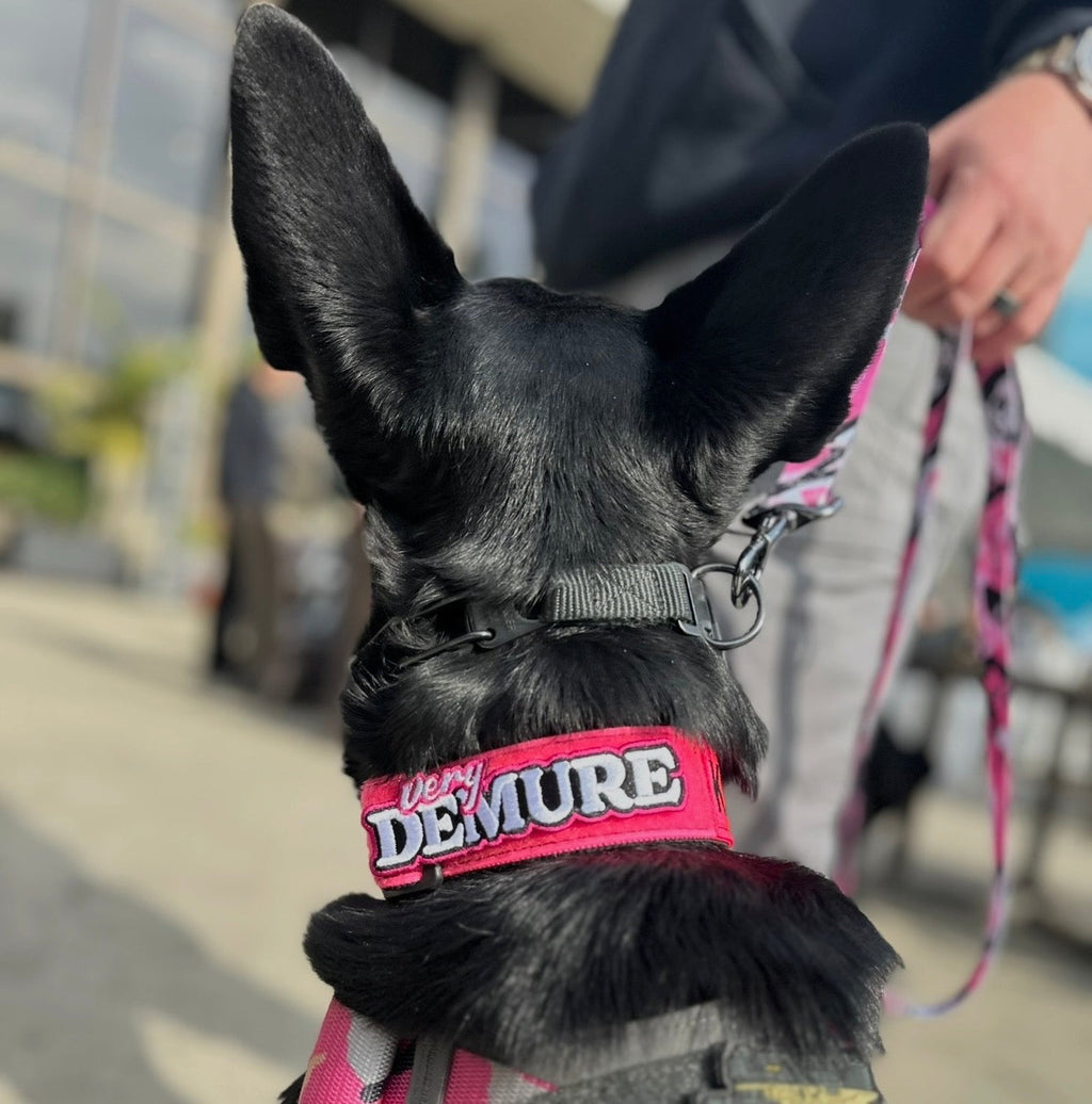 Very Demure Morale Patch