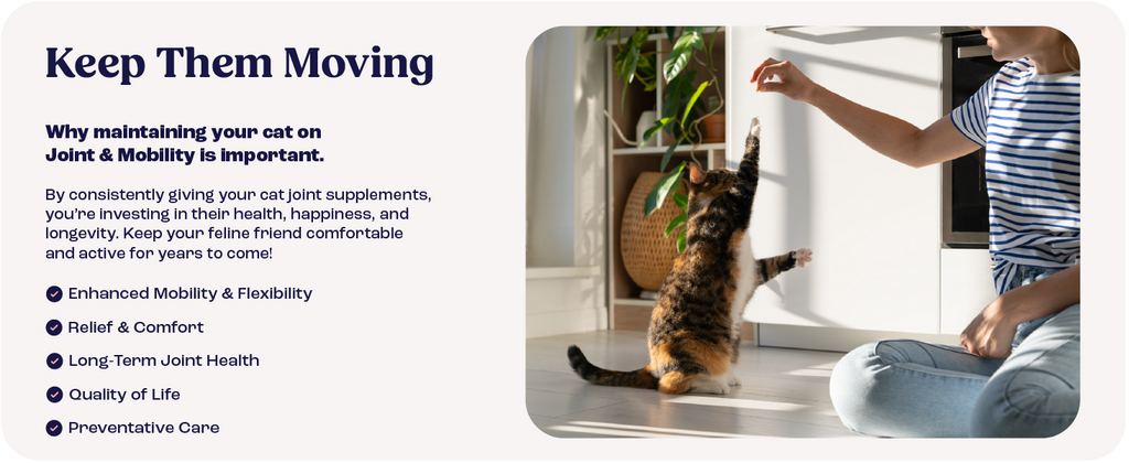 Cat Joint Supplement Chondroitin Mobility Support Natural Formula