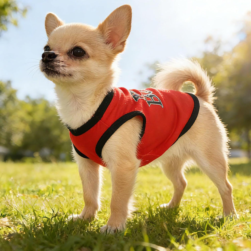 4 Pack Small Dog Shirts Cute Puppy Clothes for Chihuahua Yorkie