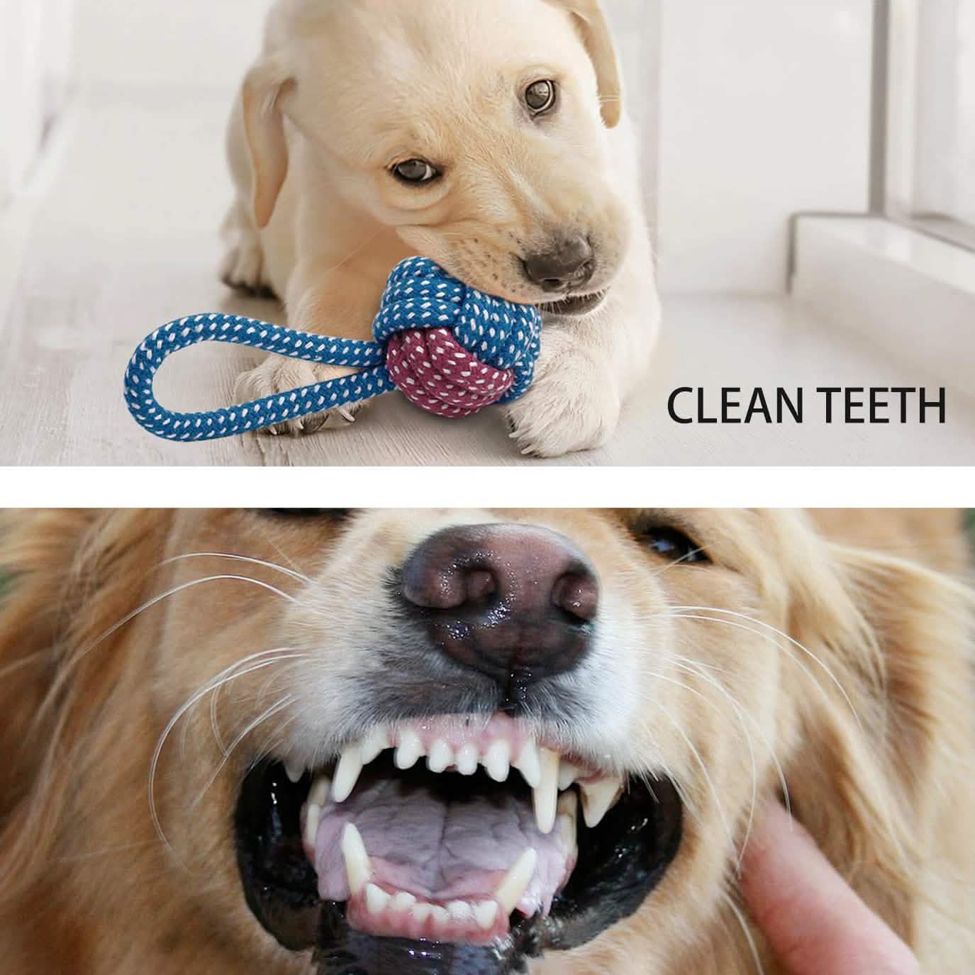 7-Piece: Puppy Cord Chew Toys