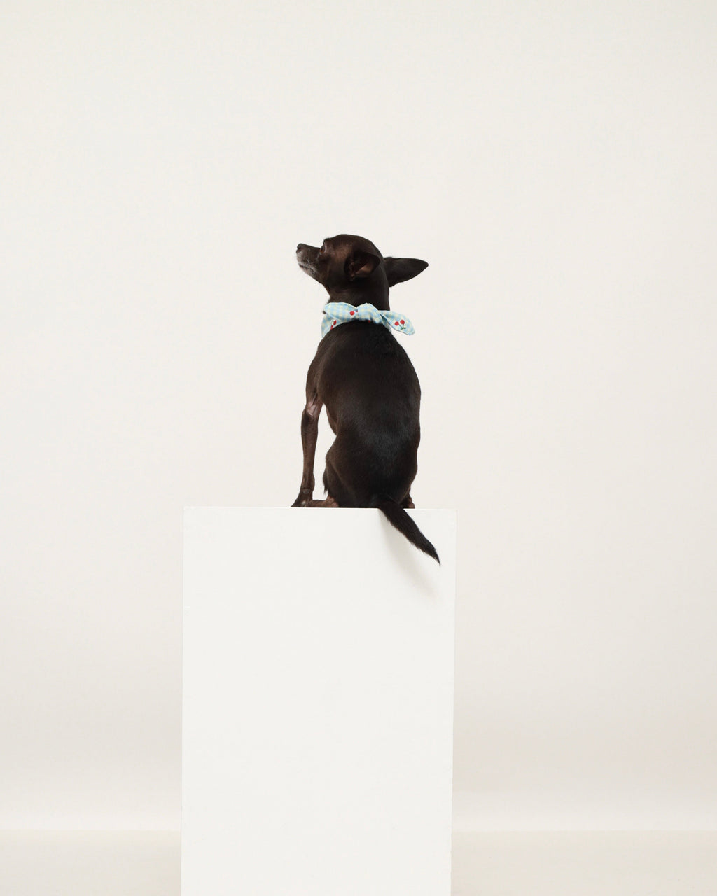 Gingham Cherry Neckerchief