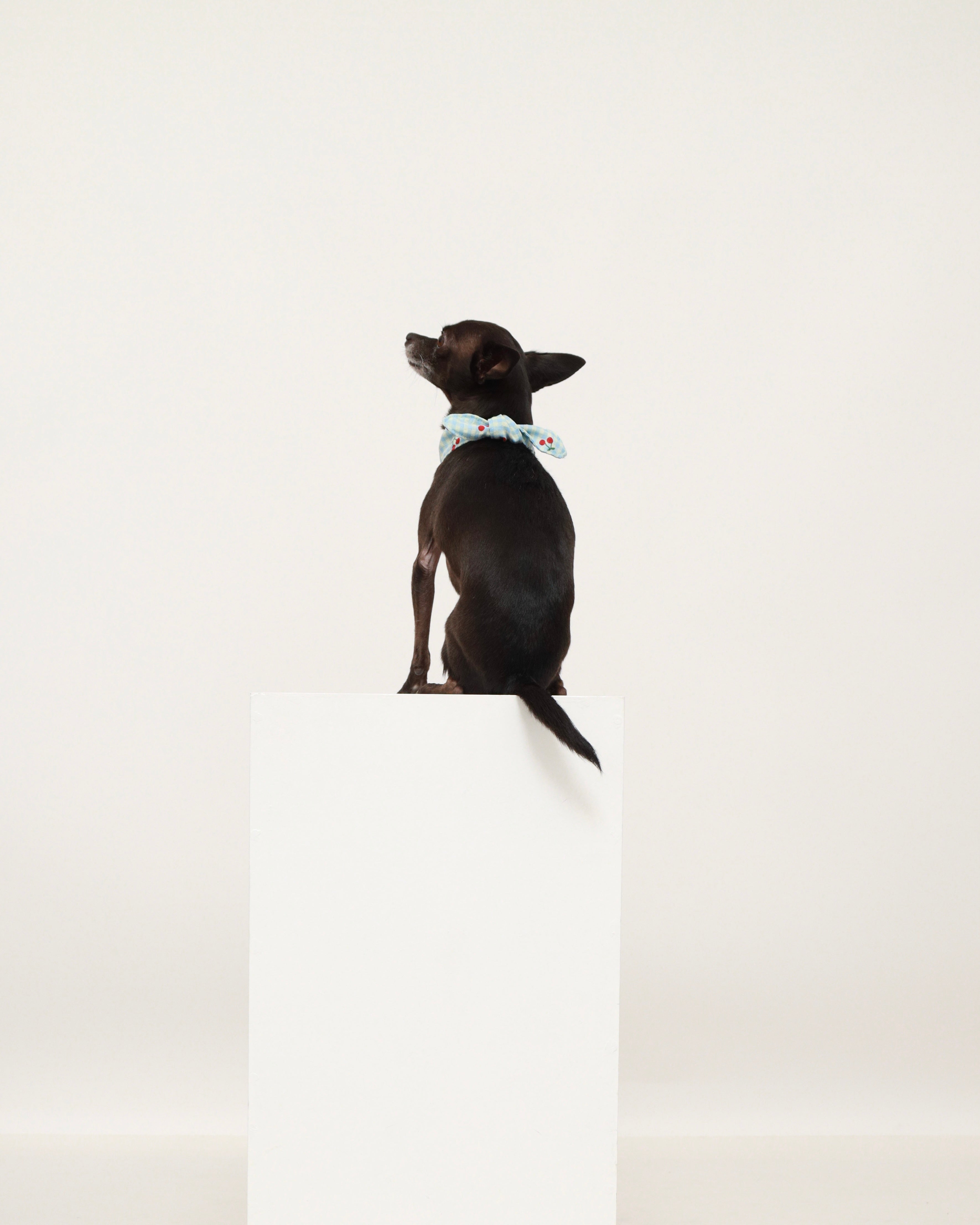 Gingham Cherry Neckerchief