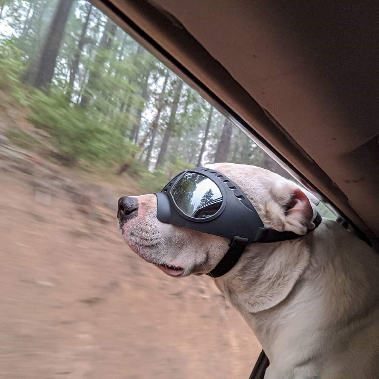 "Doggles" Dog Goggles Sunglasses