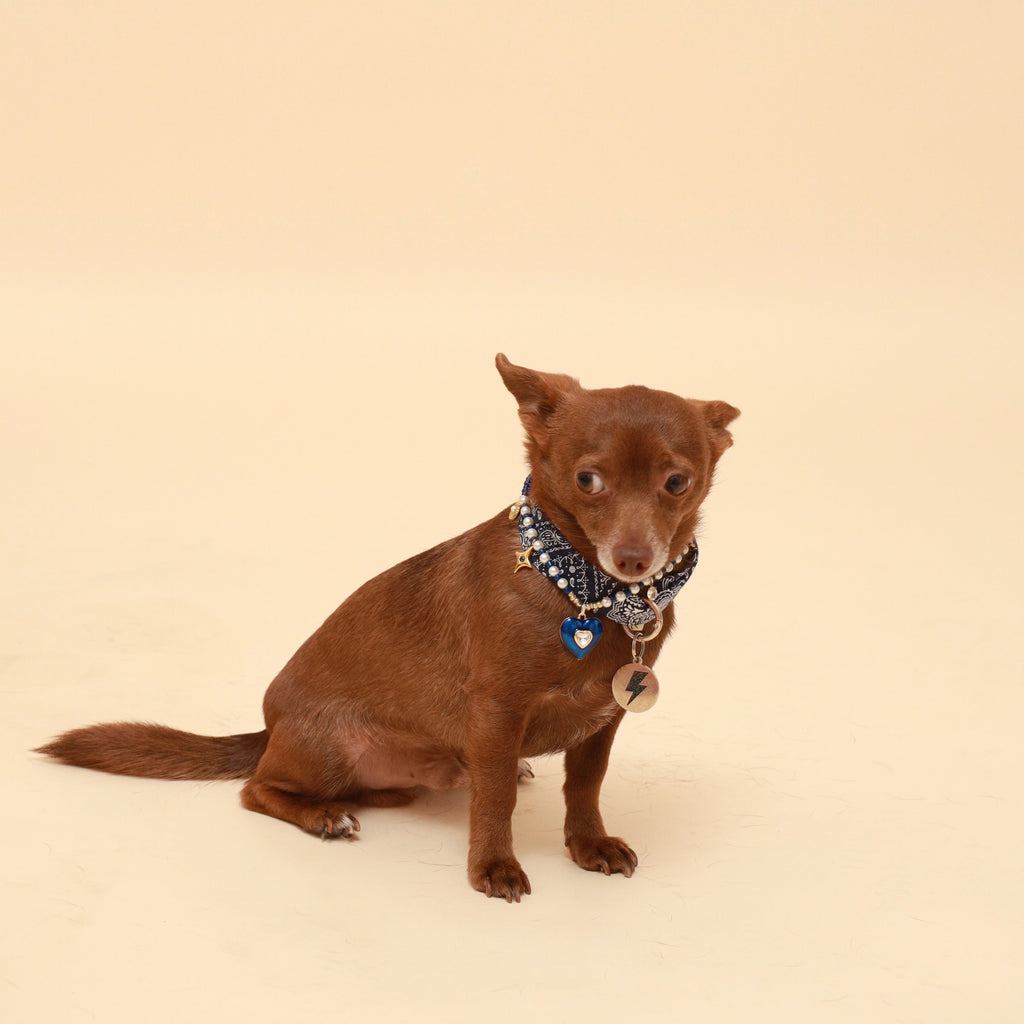 Blue Paisley Neckerchief