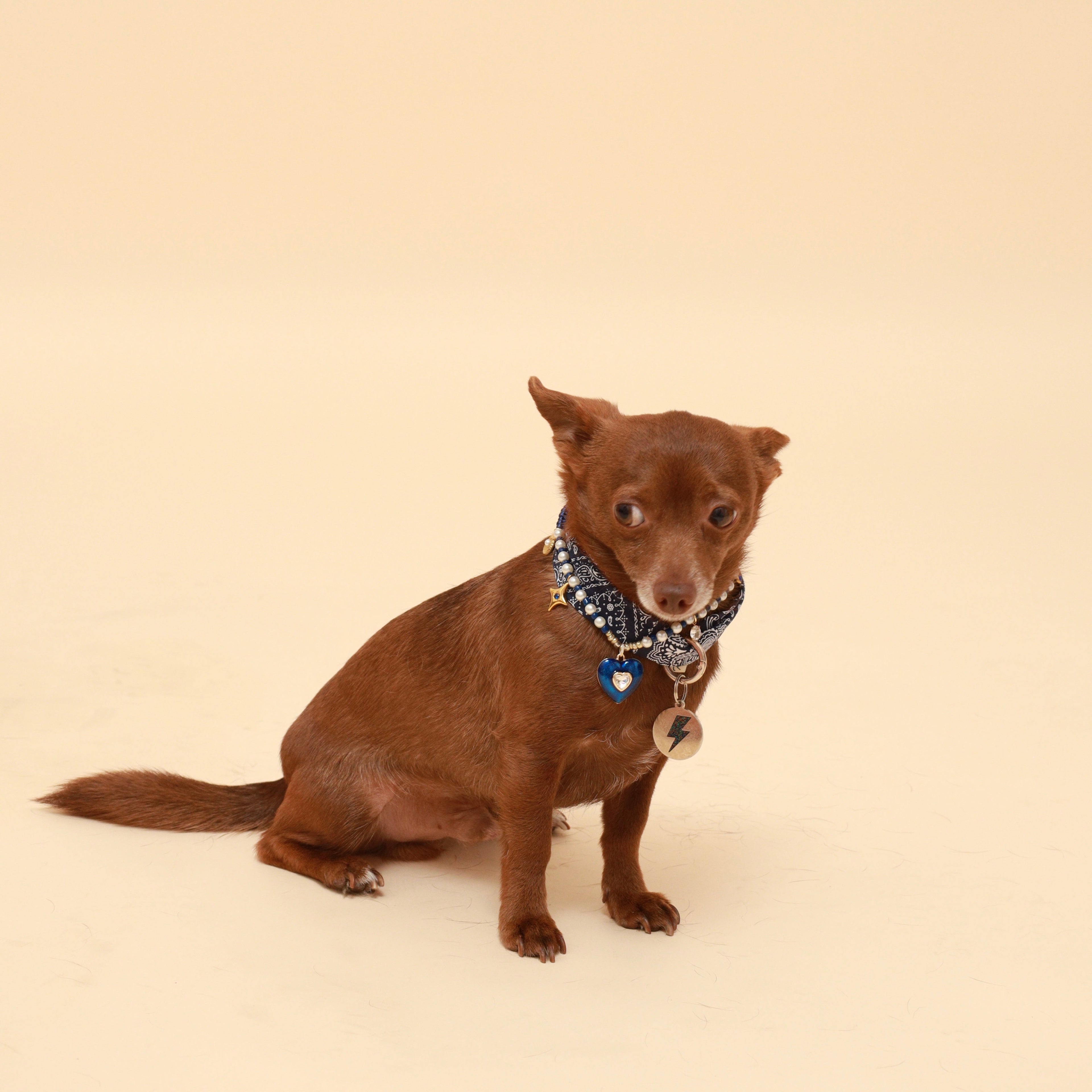 Blue Paisley Neckerchief