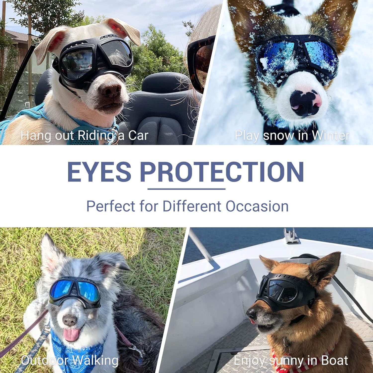 Dog goggles sunglasses skull