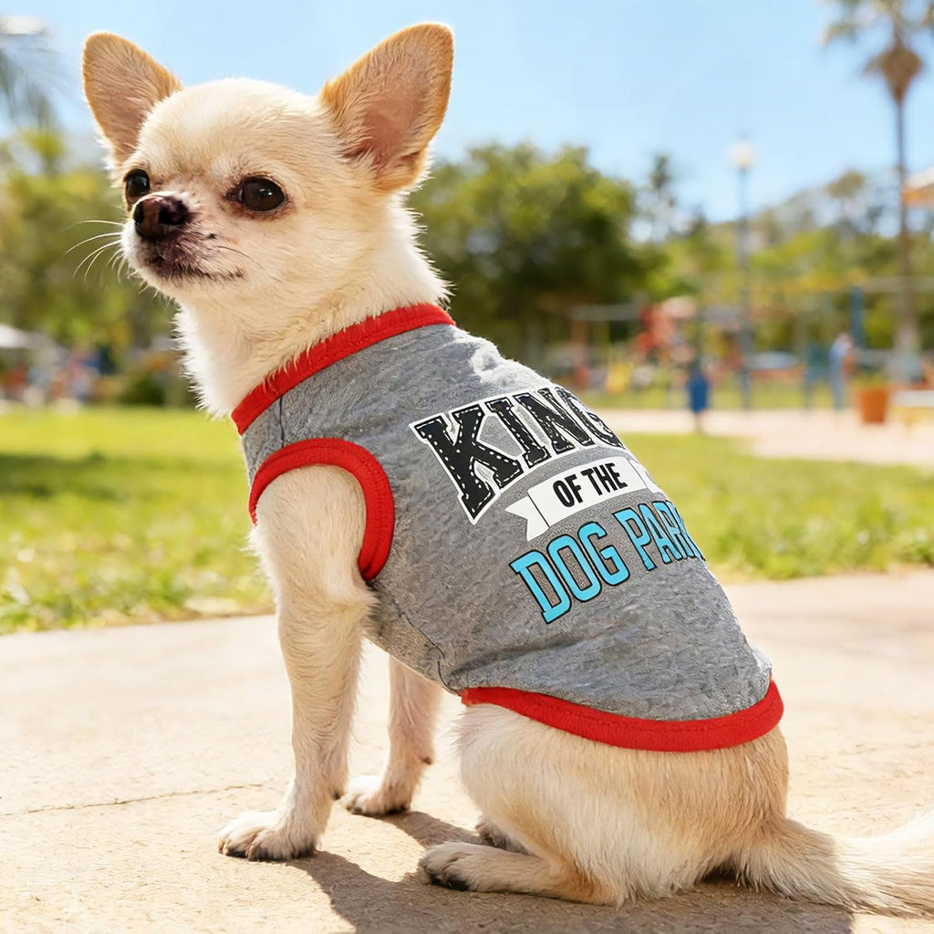 4 Pack Small Dog Shirts Cute Puppy Clothes for Chihuahua Yorkie