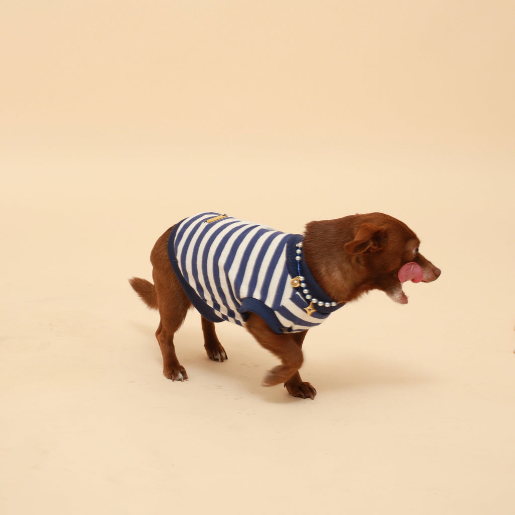 Blue Striped Cotton Tank Top
