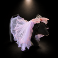 Pink Blue Tulle Tiara Pet Veil Headpiece