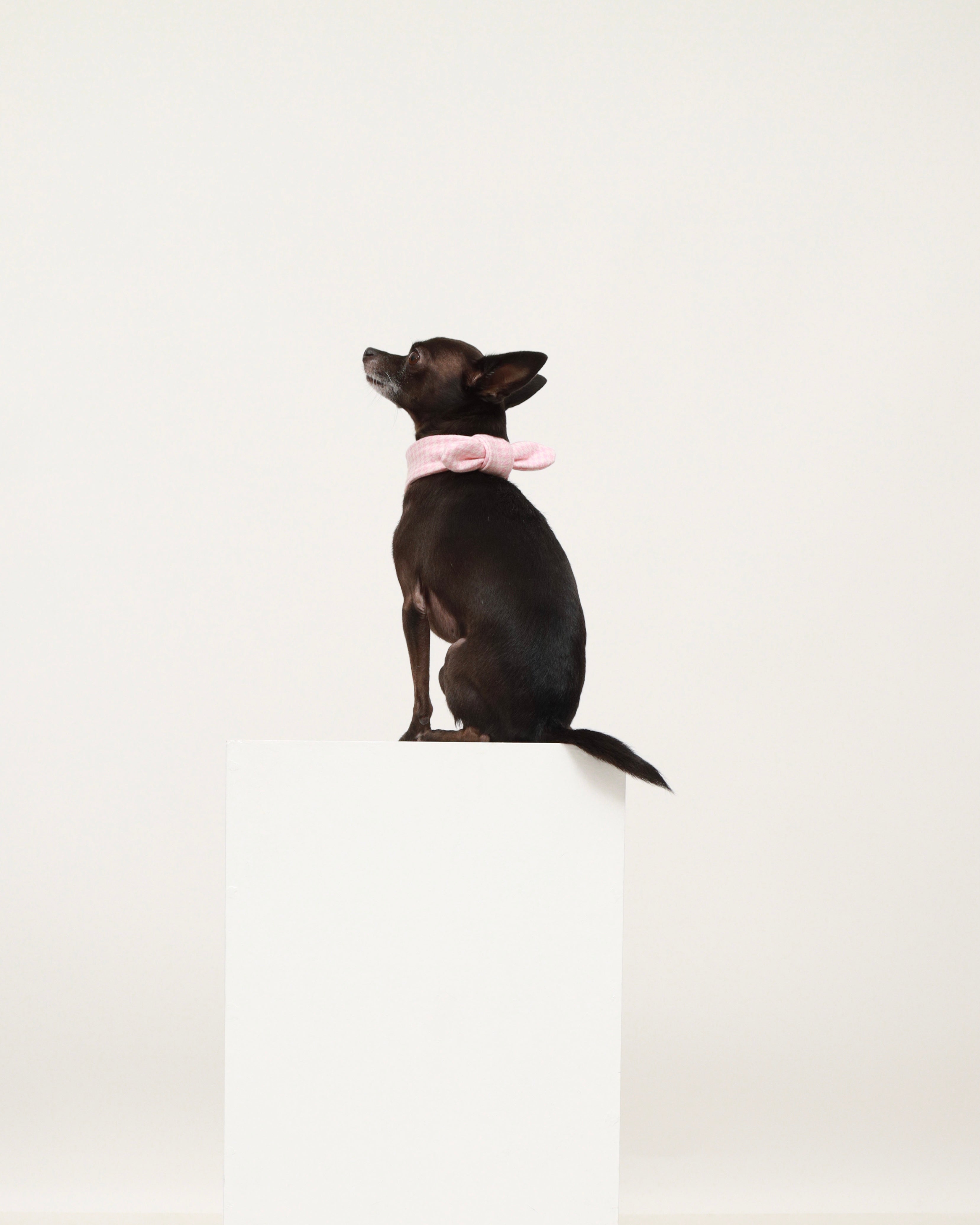 Pink Cotton Scarf