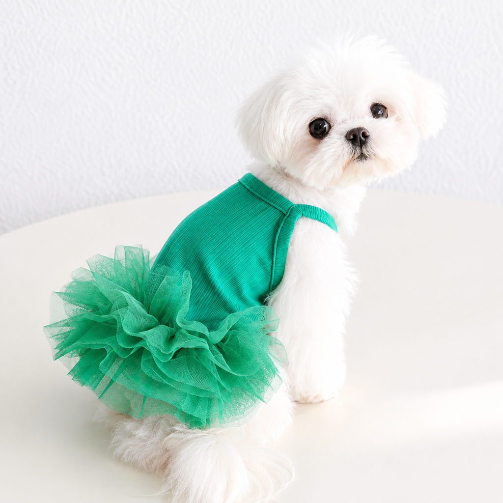 Blue & Green Pet Tutu Dress for Dogs – Ribbed Knit Ballet Puppy Dress with Fluffy Tulle Skirt for Small Dogs