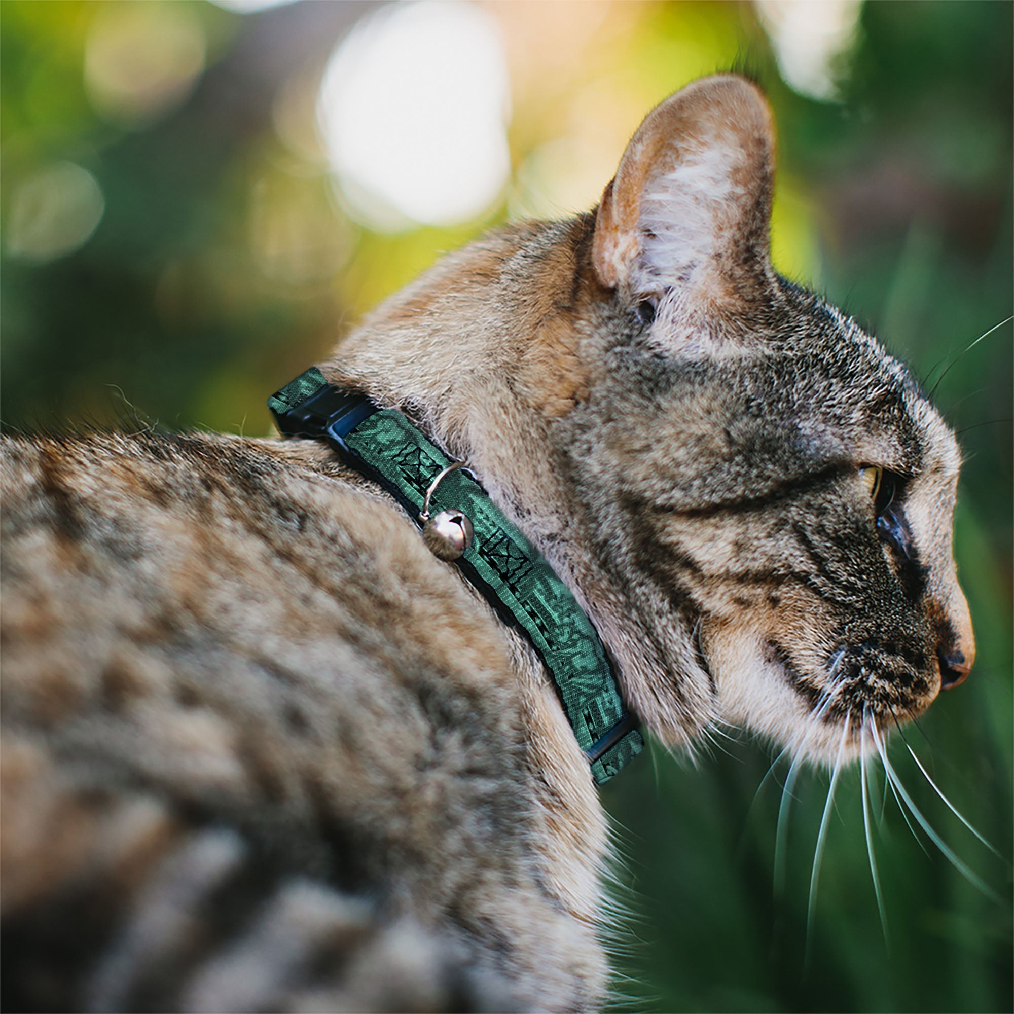 Cat Collar Breakaway - Cali License Plates Stacked