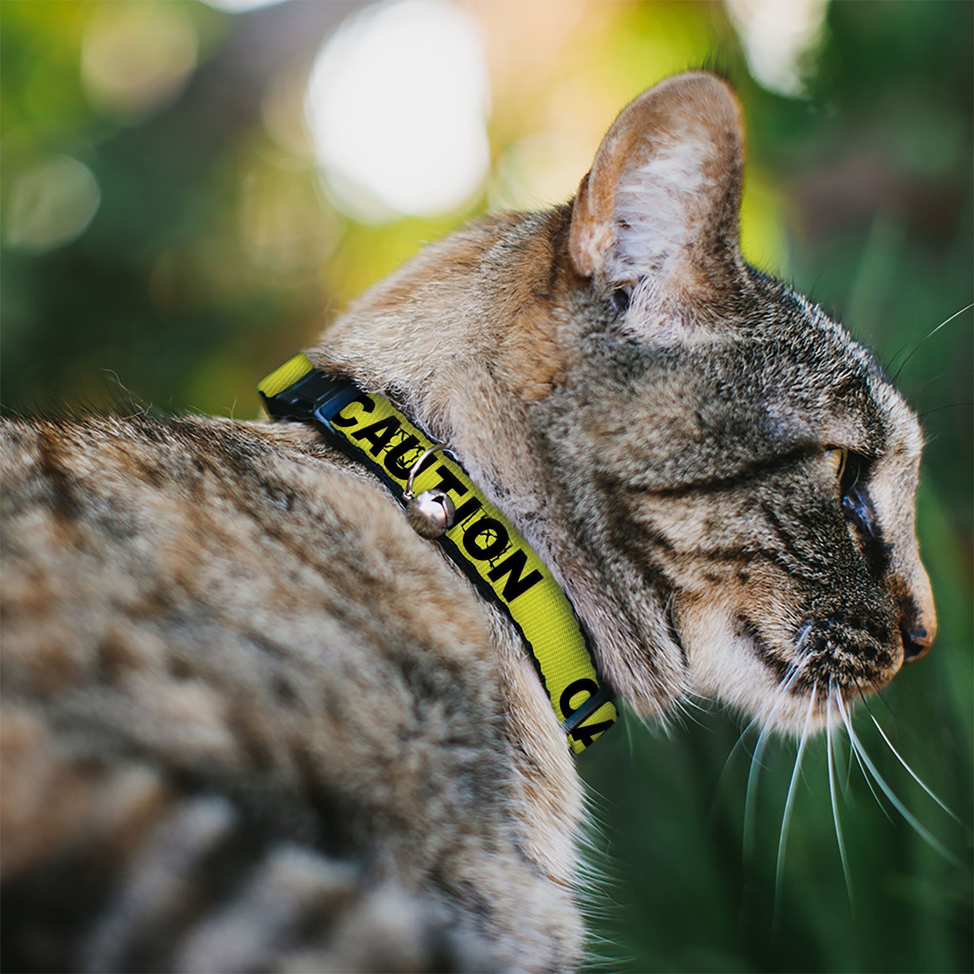 Cat Collar Breakaway - Cali License Plates Stacked Vintage