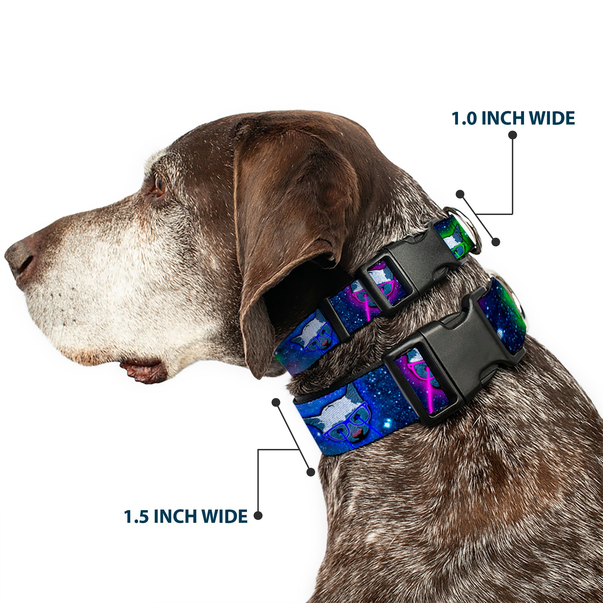 Plastic Clip Collar - Laser Eye Cats in Space