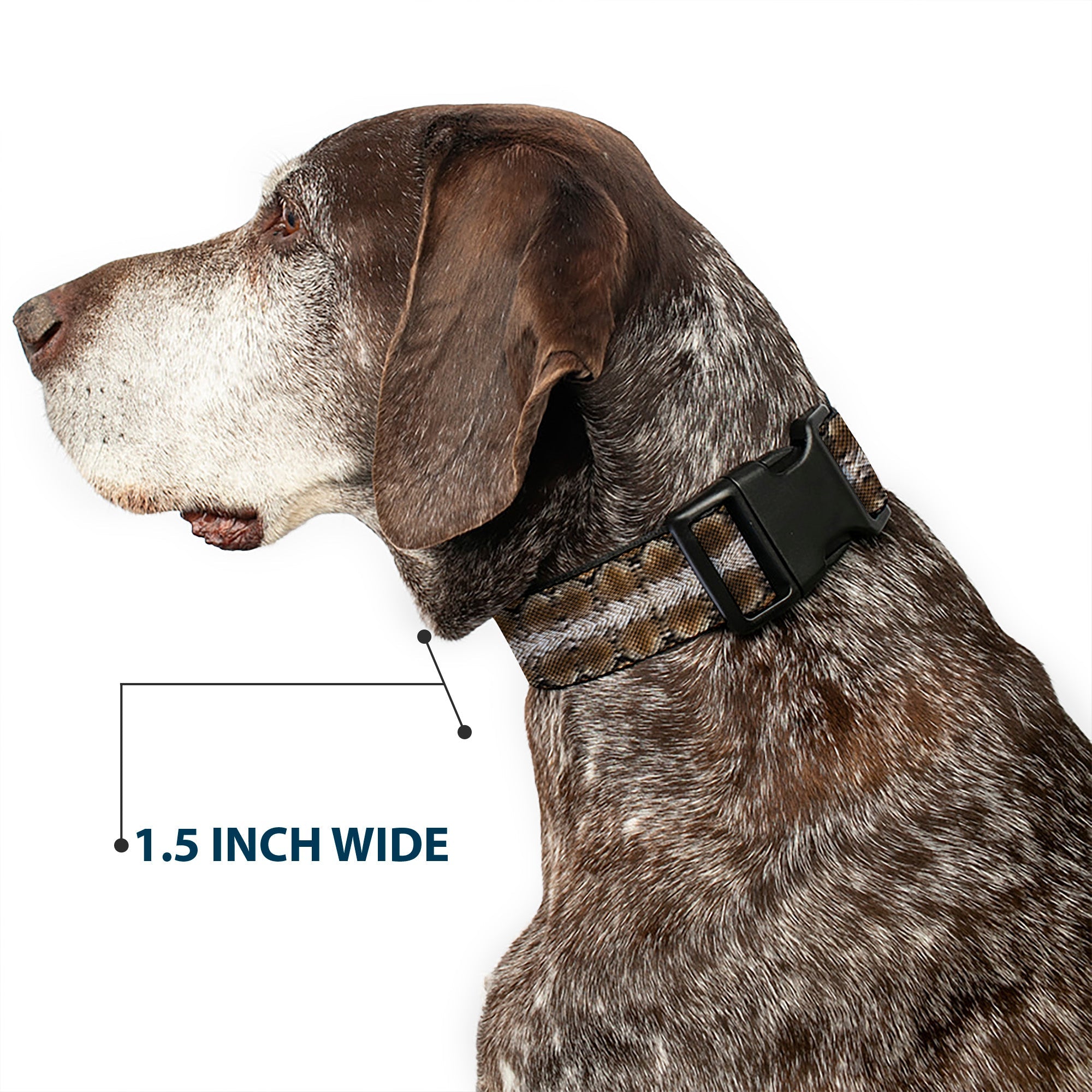 Plastic Clip Collar - Snake Skin 2
