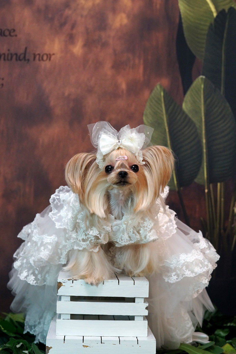 Luxury Victorian Lace Dog Wedding Dress Handmade Pearl Bridal Gown Princess Pet Wedding Dress Couture White Formal Gown