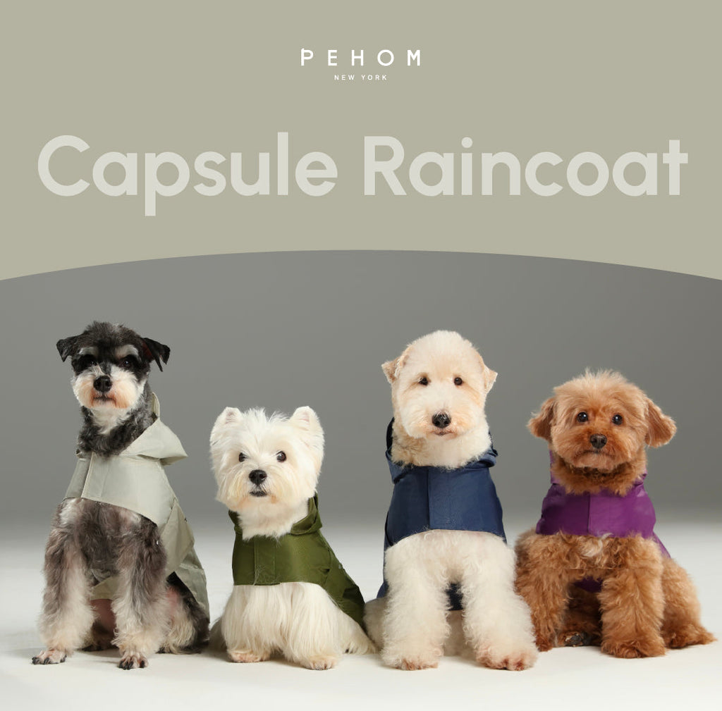 Capsule Raincoat - Blue