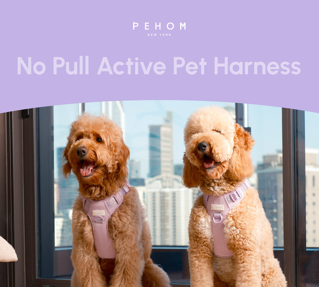 NO PULL ACTIVE  PET HARNESS - MINT PURPLE