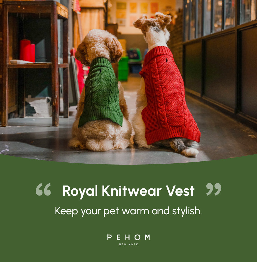 Pet Sweater Vest - Green