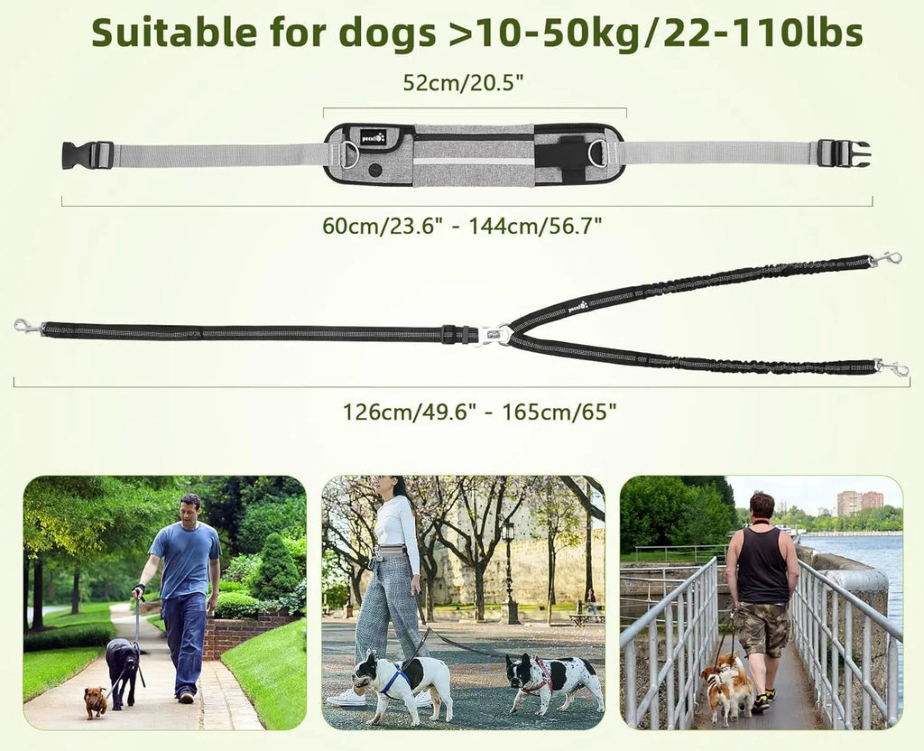 Hands Free Dog Leash Dual Bungee Adjustable Waist Belt Running Walking