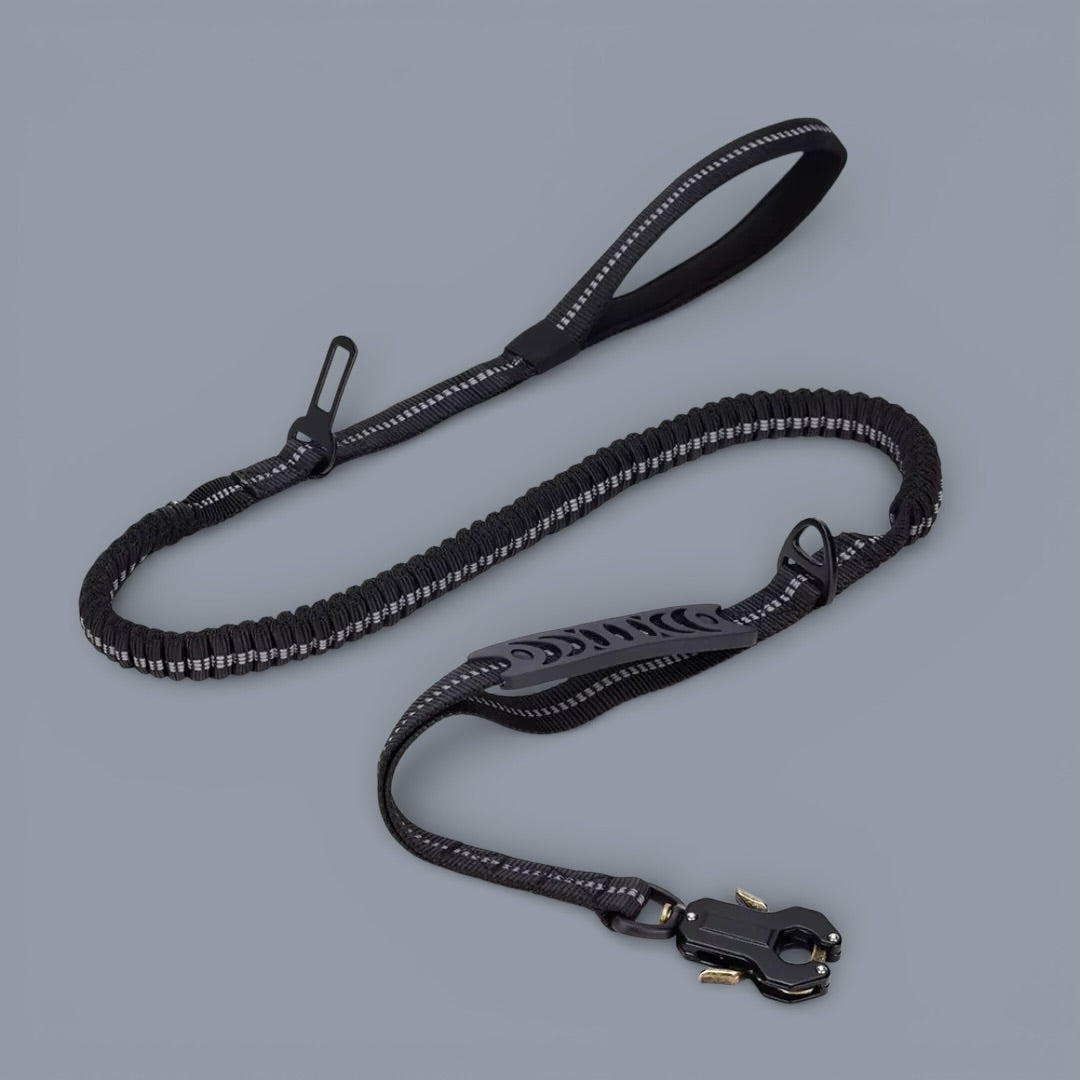 Quick-Release Frog Clip Bungee Leash - (Absorbs Pulls)