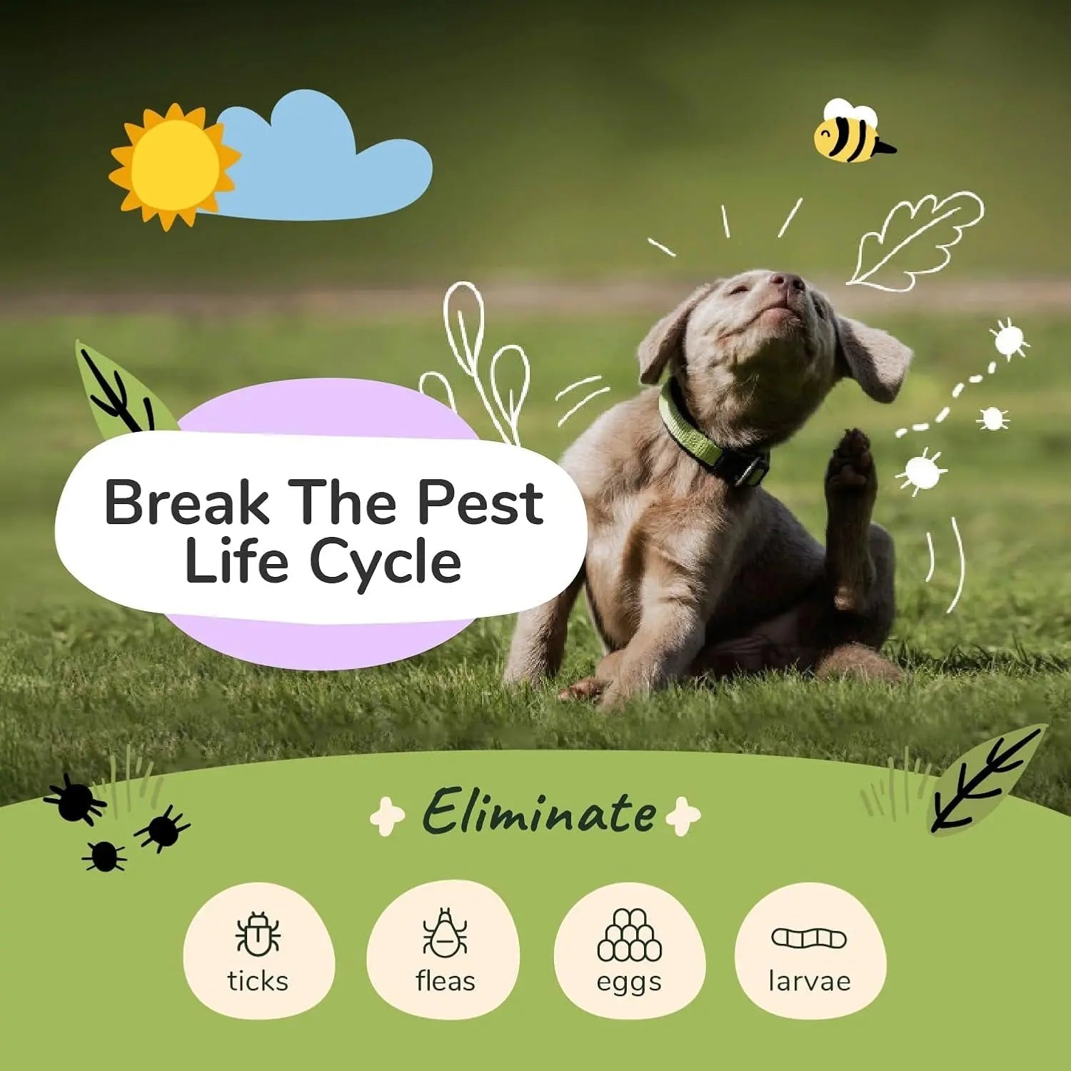 Kin+Kind Flea & Tick Dog Shampoo – Plant-Based Lavender Treatment, 12 oz