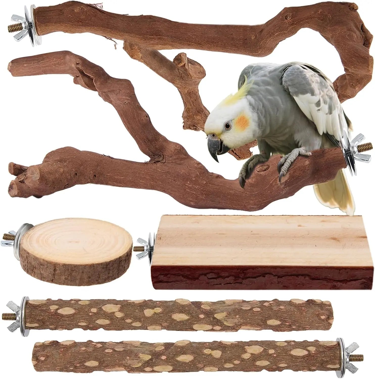 Natural Bird Perch Set – 6PC Grapewood & Peppercorn Branch Perches, Toys