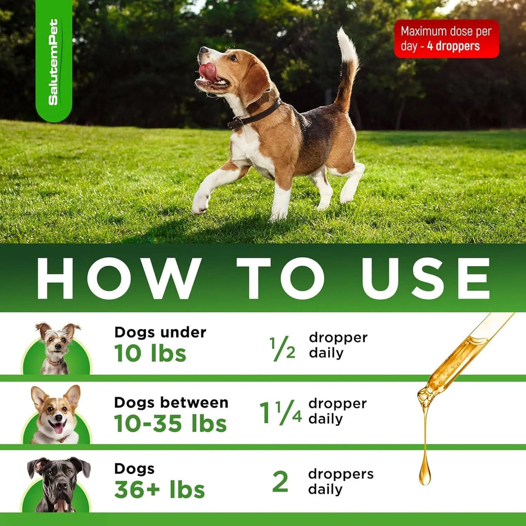 Natural Herbal Wellness Antibiotics Drops for Dogs Immune Support 2oz