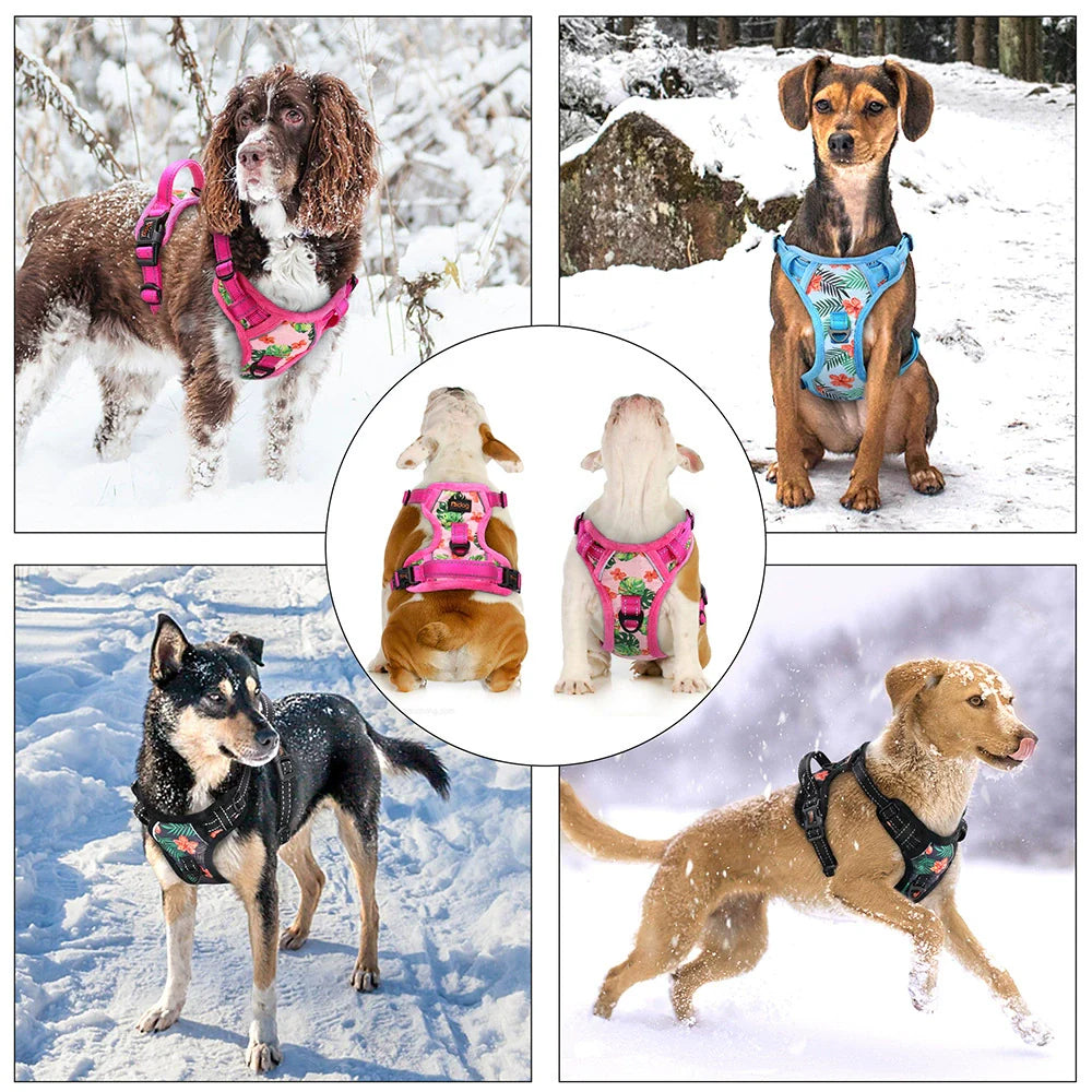 Reflective Padded Dog Harness+Leash Set with Floral Print