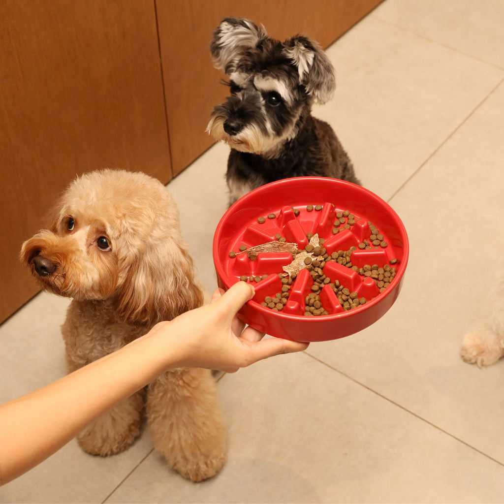 [Spark] Slow Feeder Dog Bowls - Red / Green / Blue
