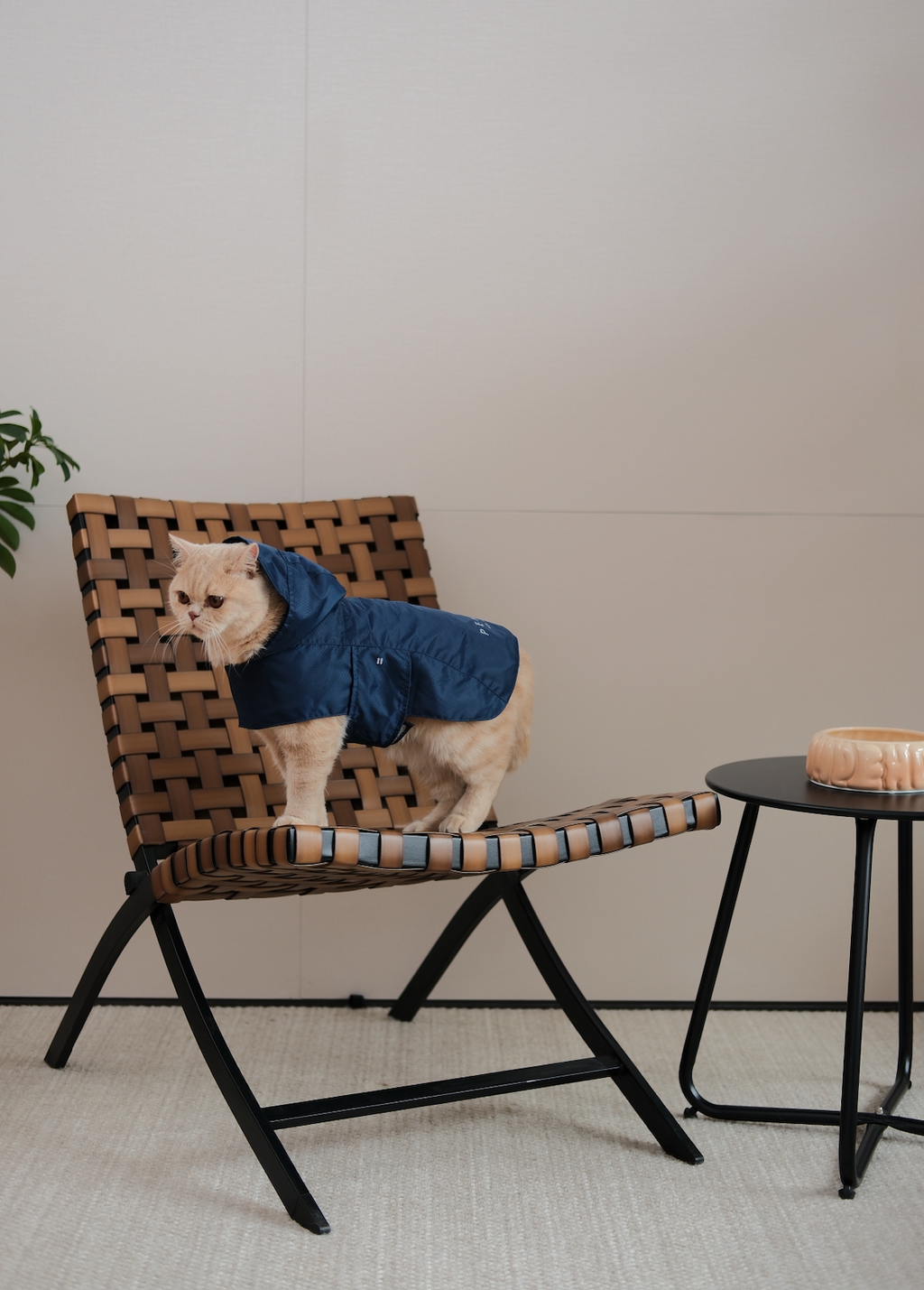 Capsule Raincoat - Blue