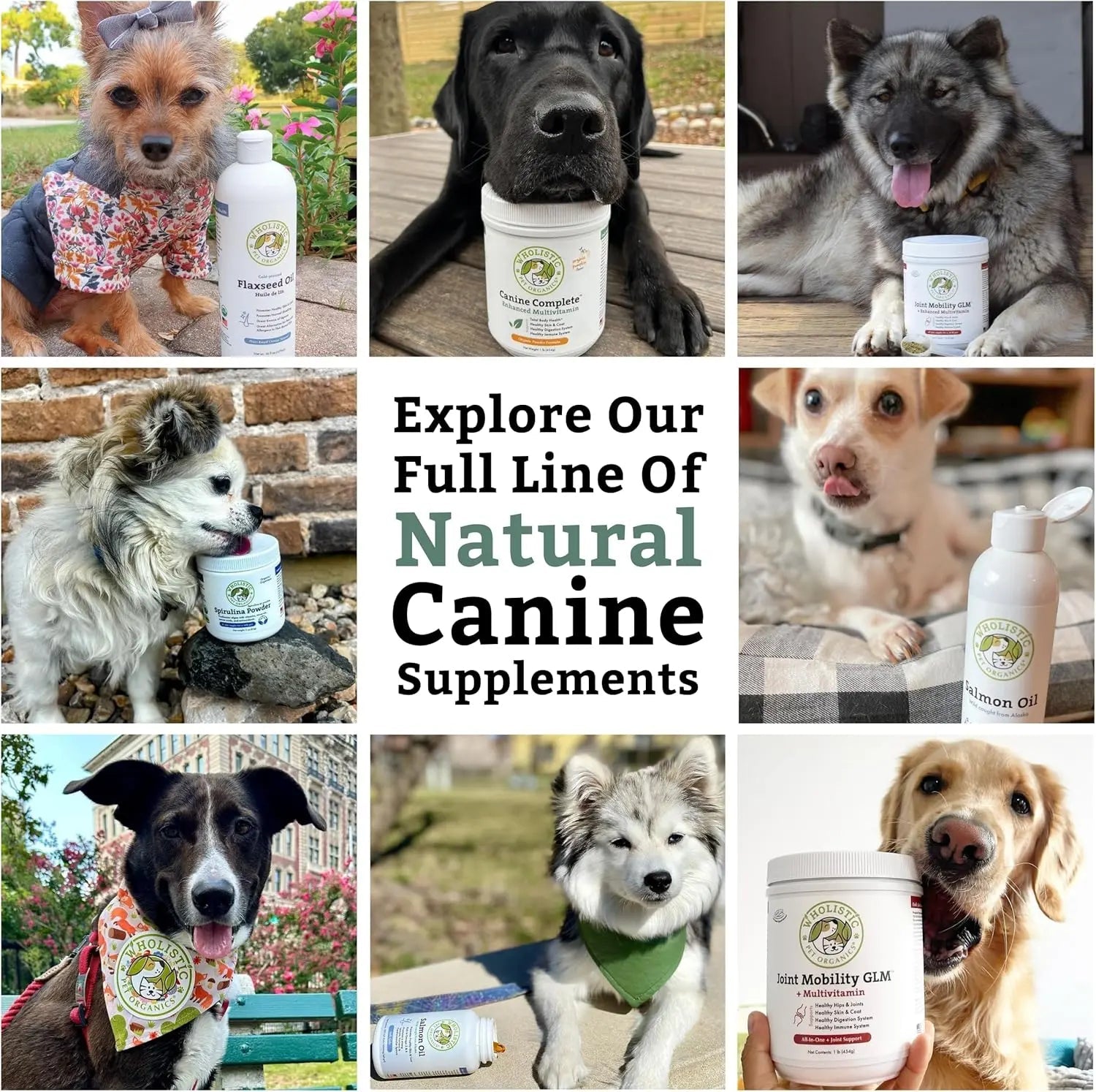 Wholistic Pet Organics Canine Complete 1lb Dog Multivitamin Powder 45 Scoops