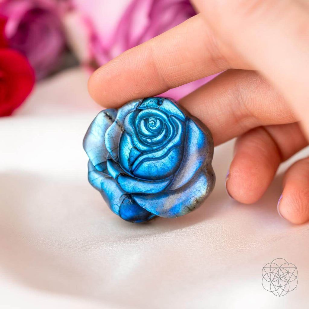 Beautifully Unique - Blossoming Rose of Singularity