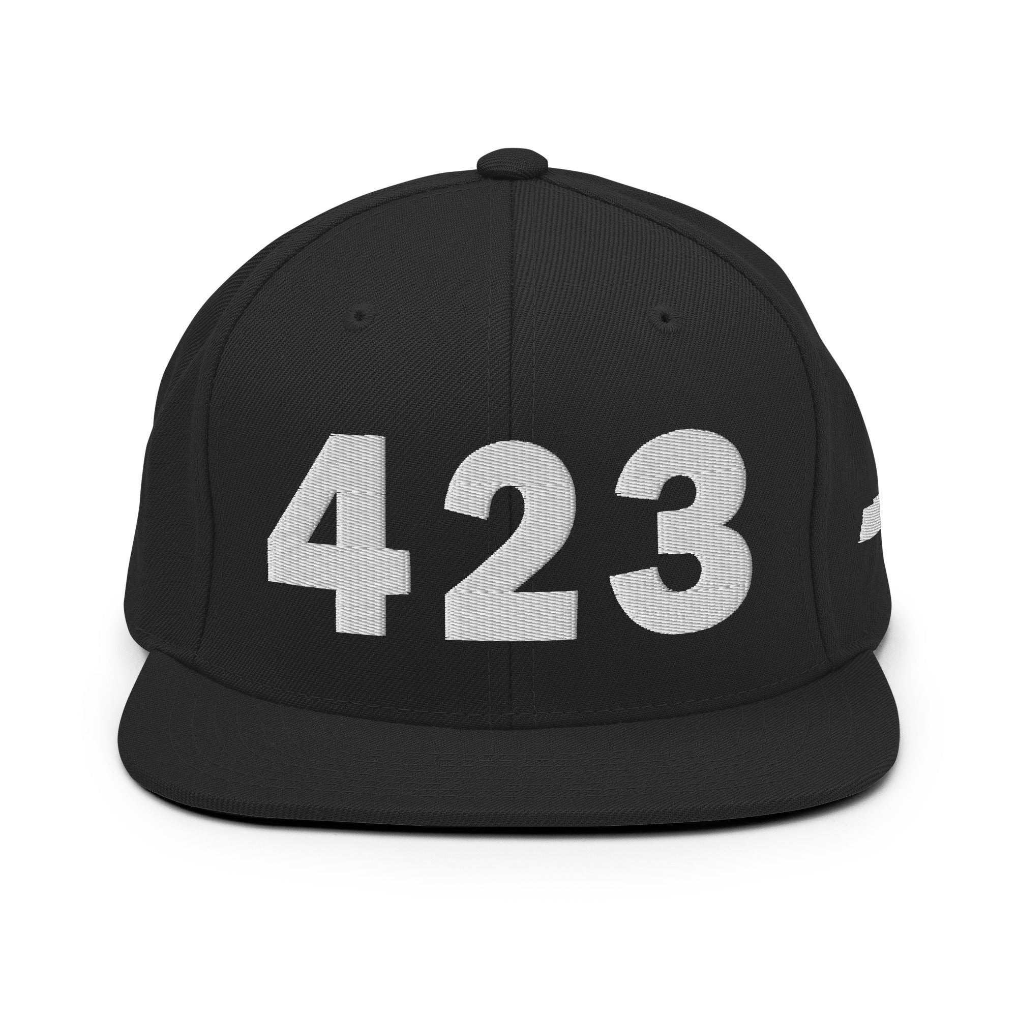423 Area Code Snapback Hat