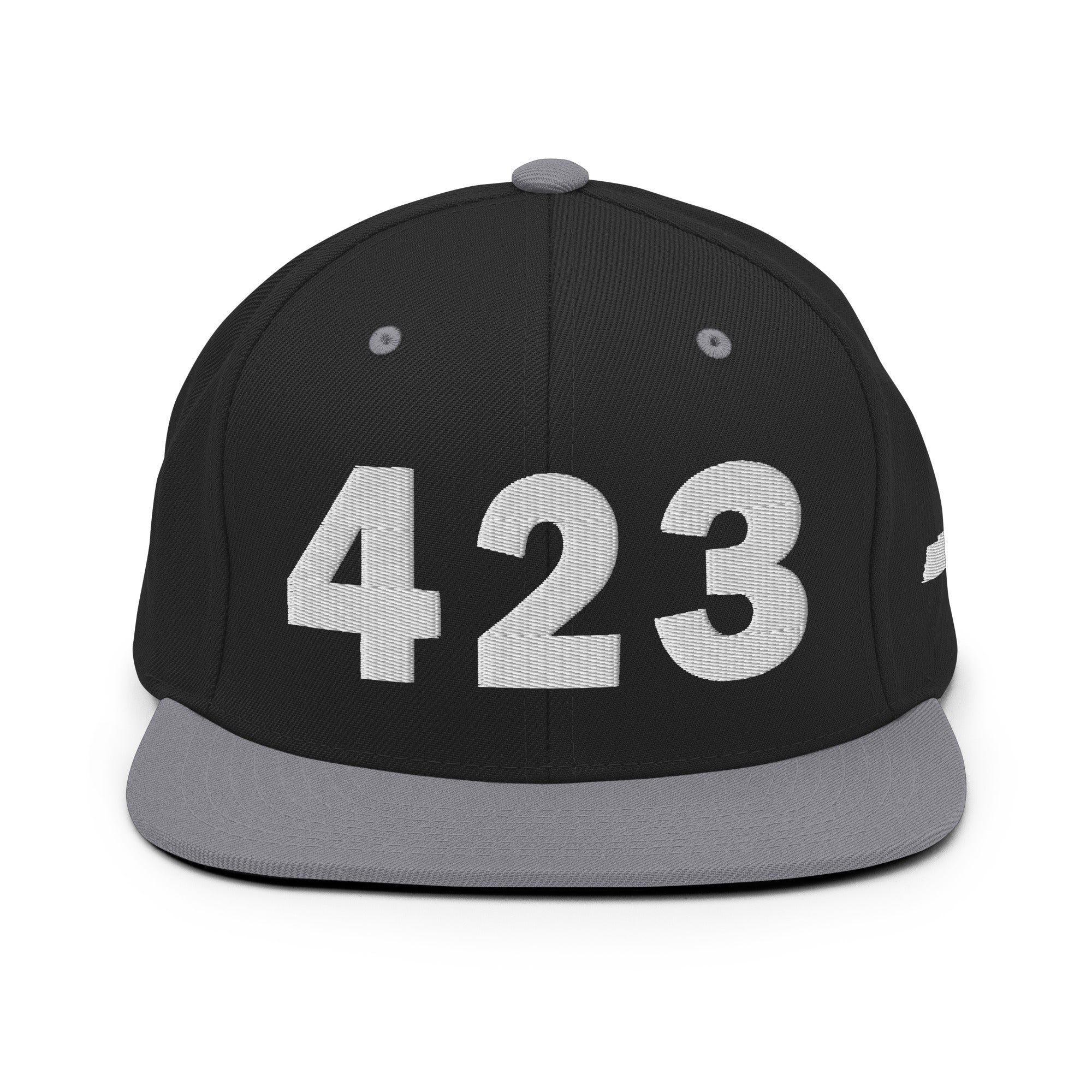 423 Area Code Snapback Hat