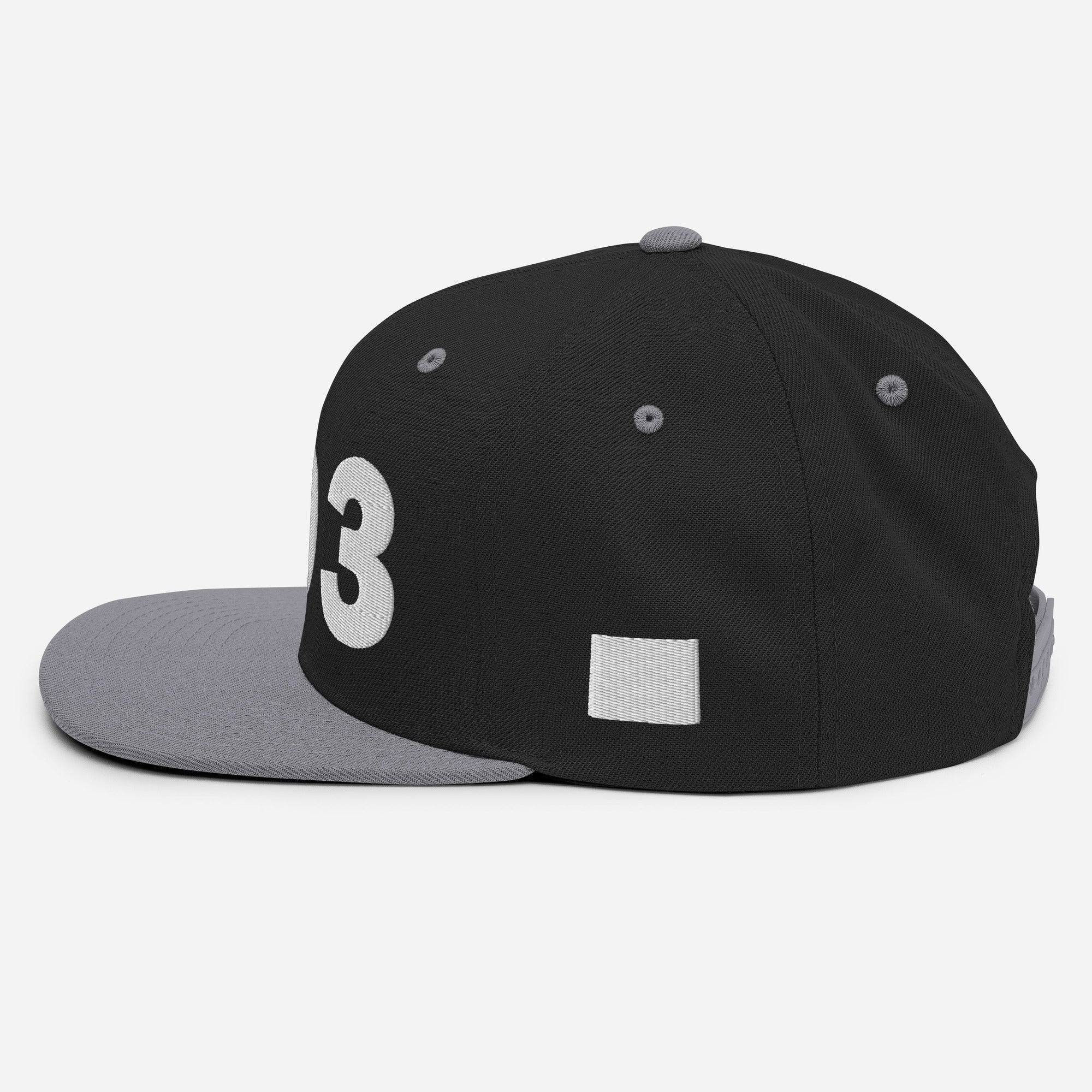 303 Area Code Snapback Hat