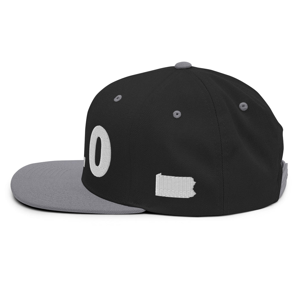 610 Area Code Snapback Hat