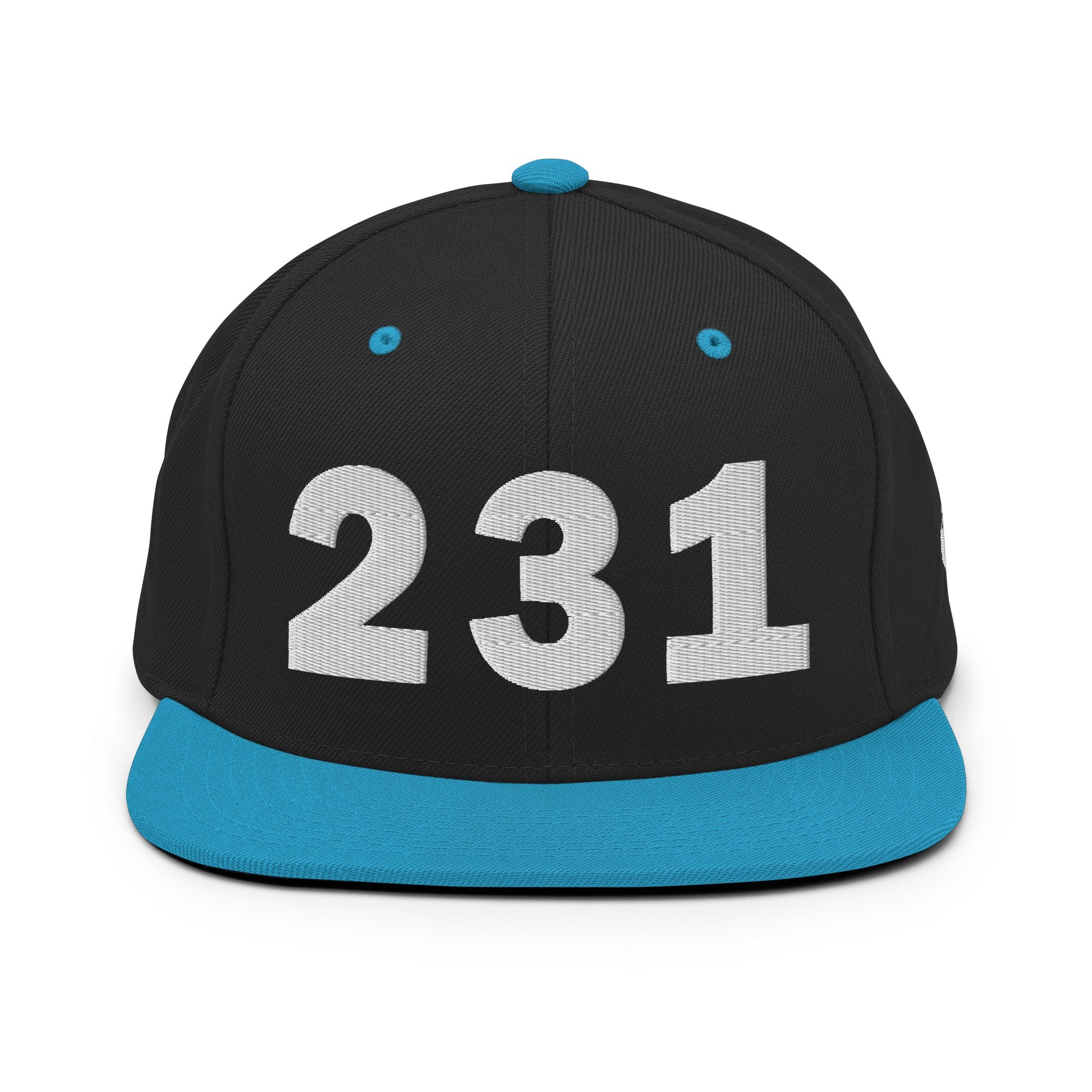 231 Area Code Snapback Hat