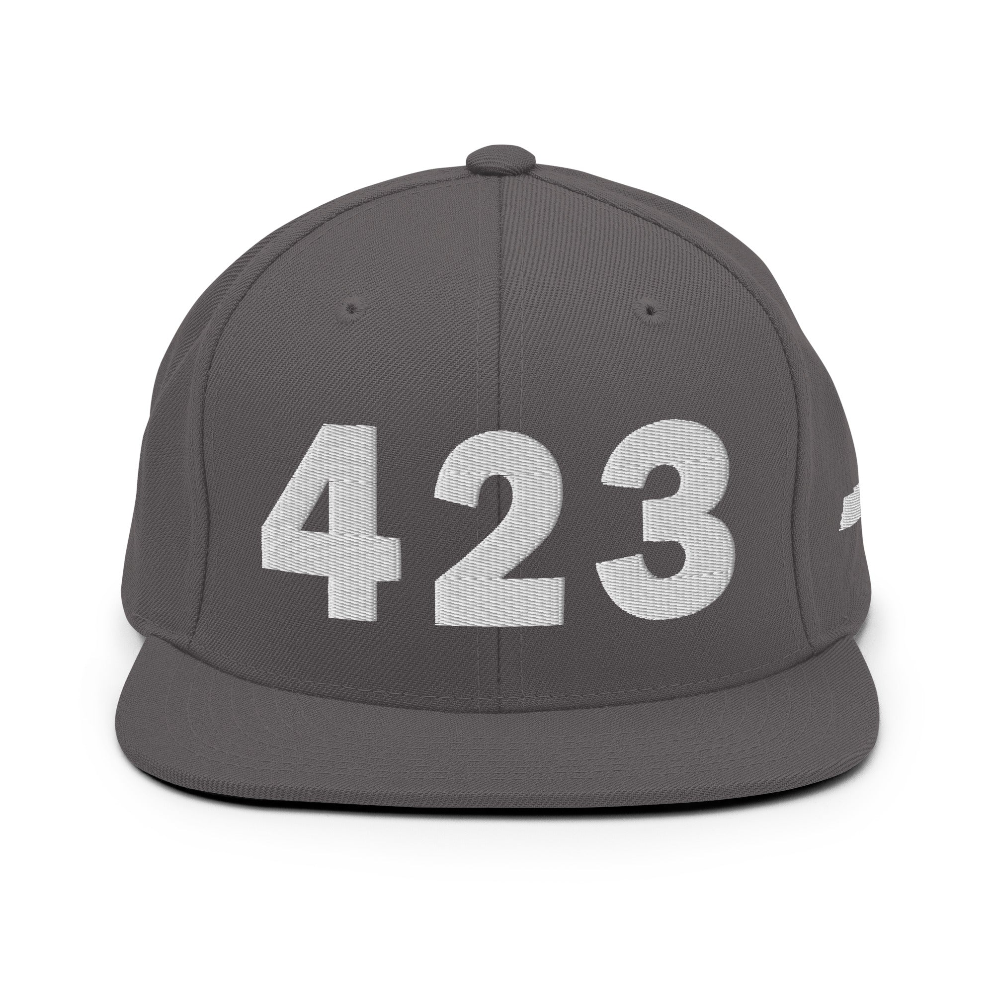 423 Area Code Snapback Hat