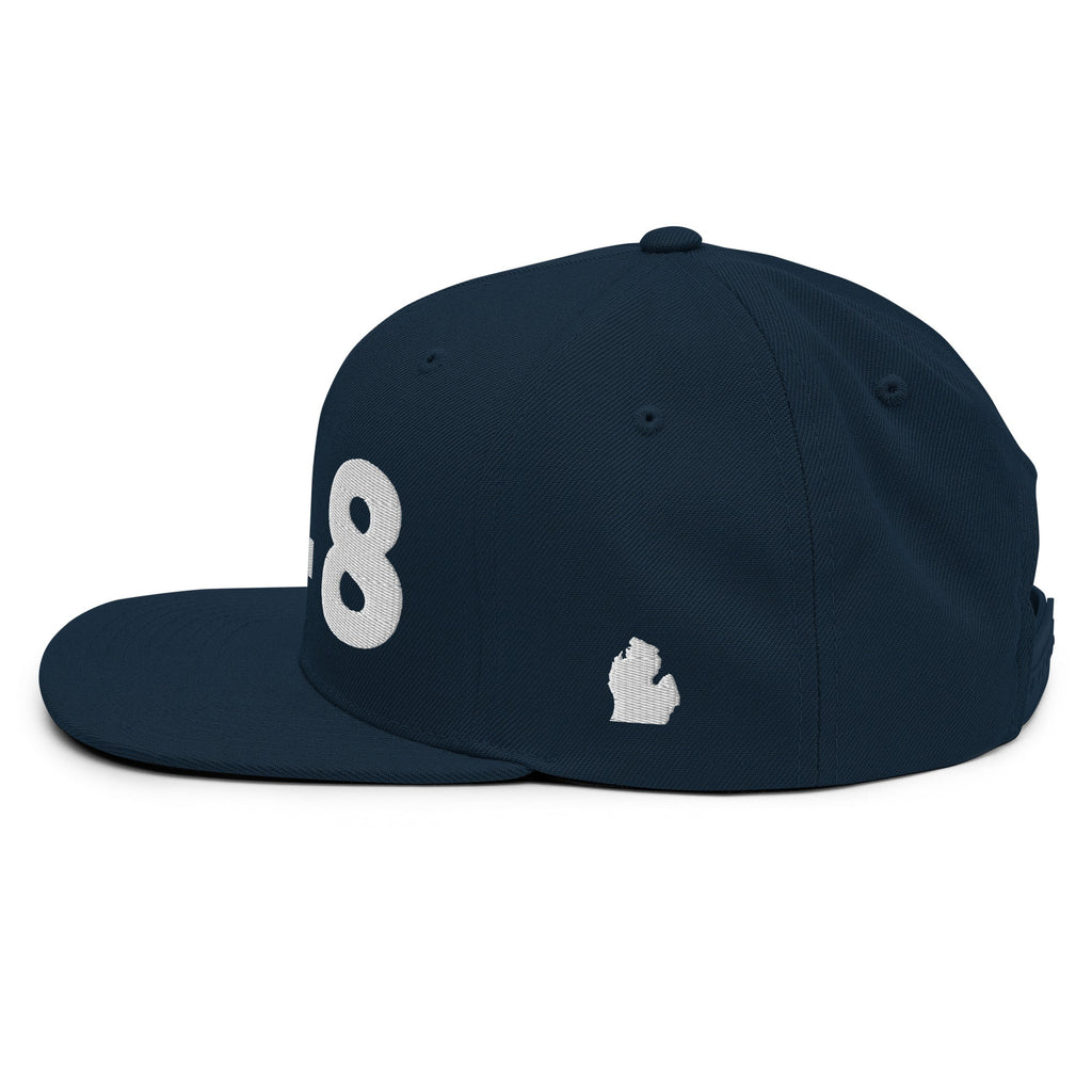 248 Area Code Snapback Hat