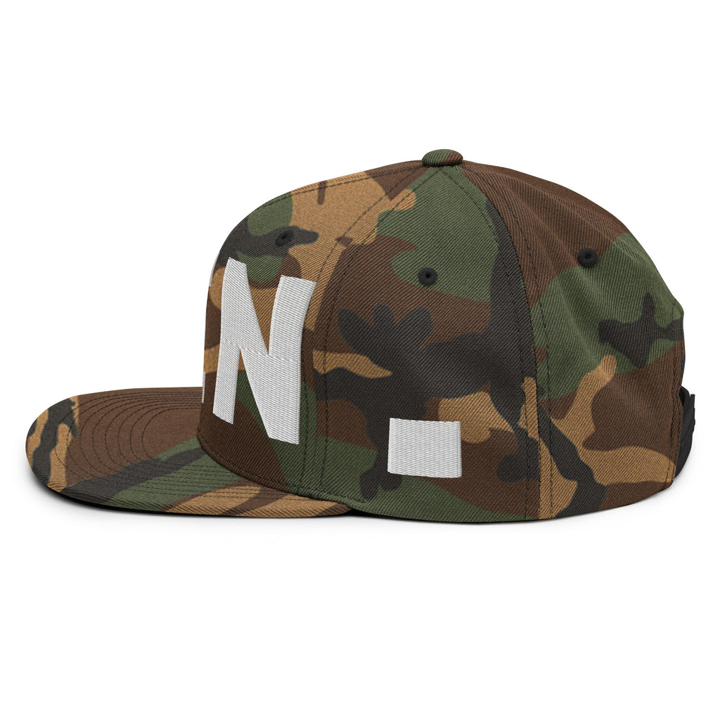 DEN Denver Colorado Snapback Hat