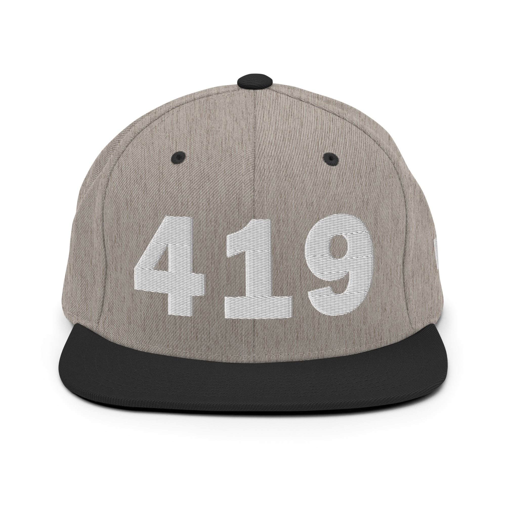 419 Area Code Snapback Hat