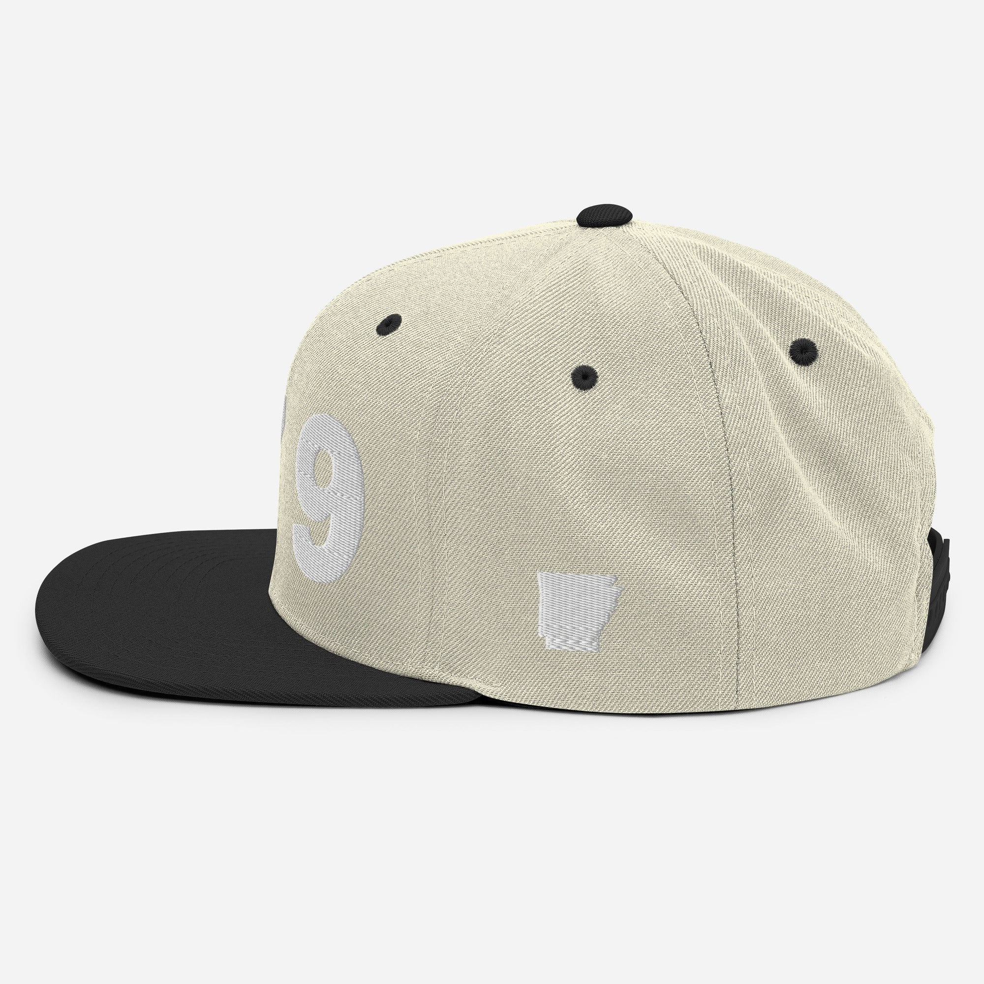 479 Area Code Snapback Hat